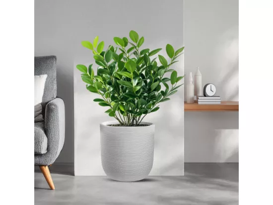 Vase en résine intérieur extérieur pour plantes cylindriques design d.35x34h Raffaello Bianco