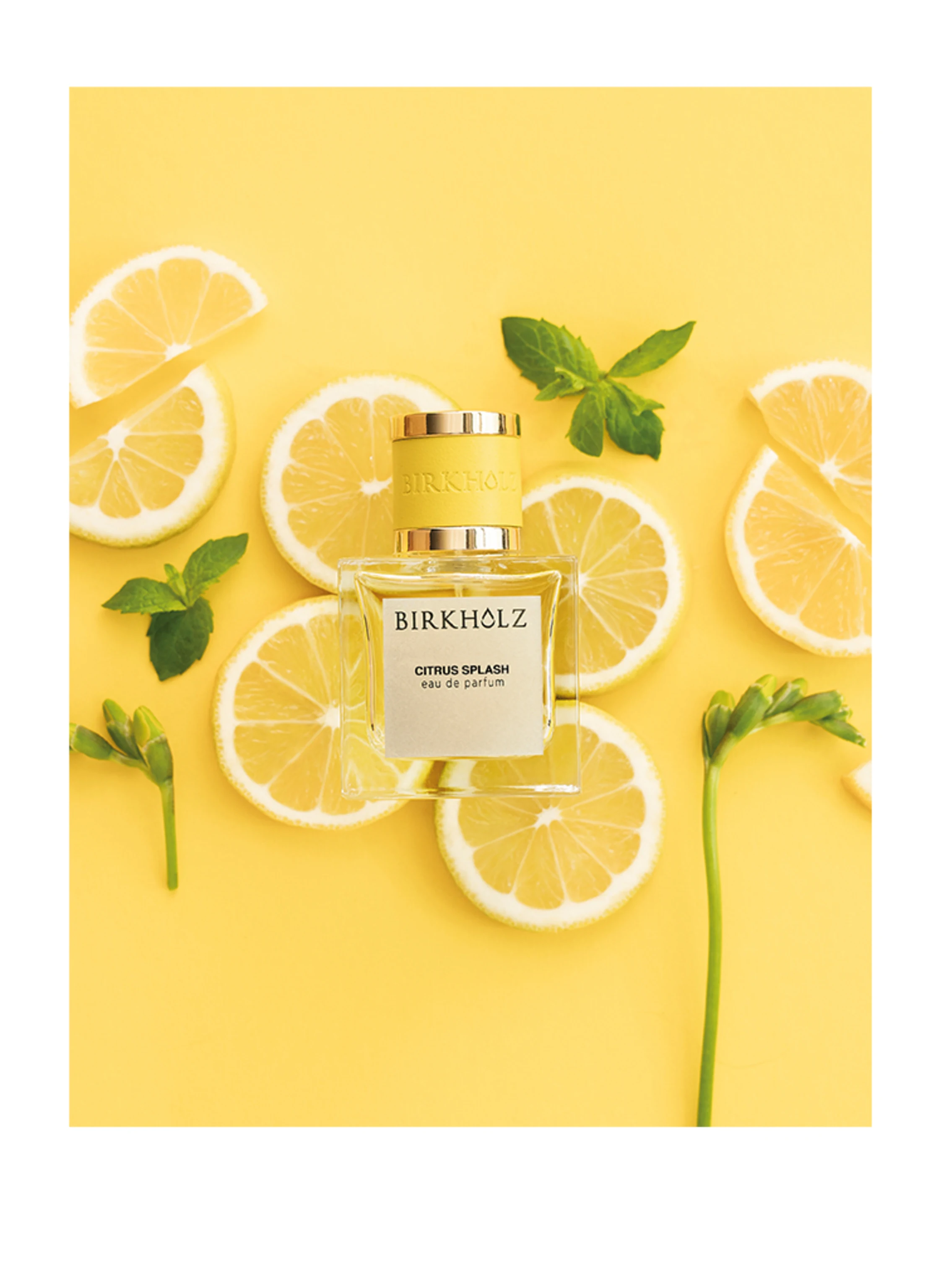 BIRKHOLZ CITRUS SPLASH