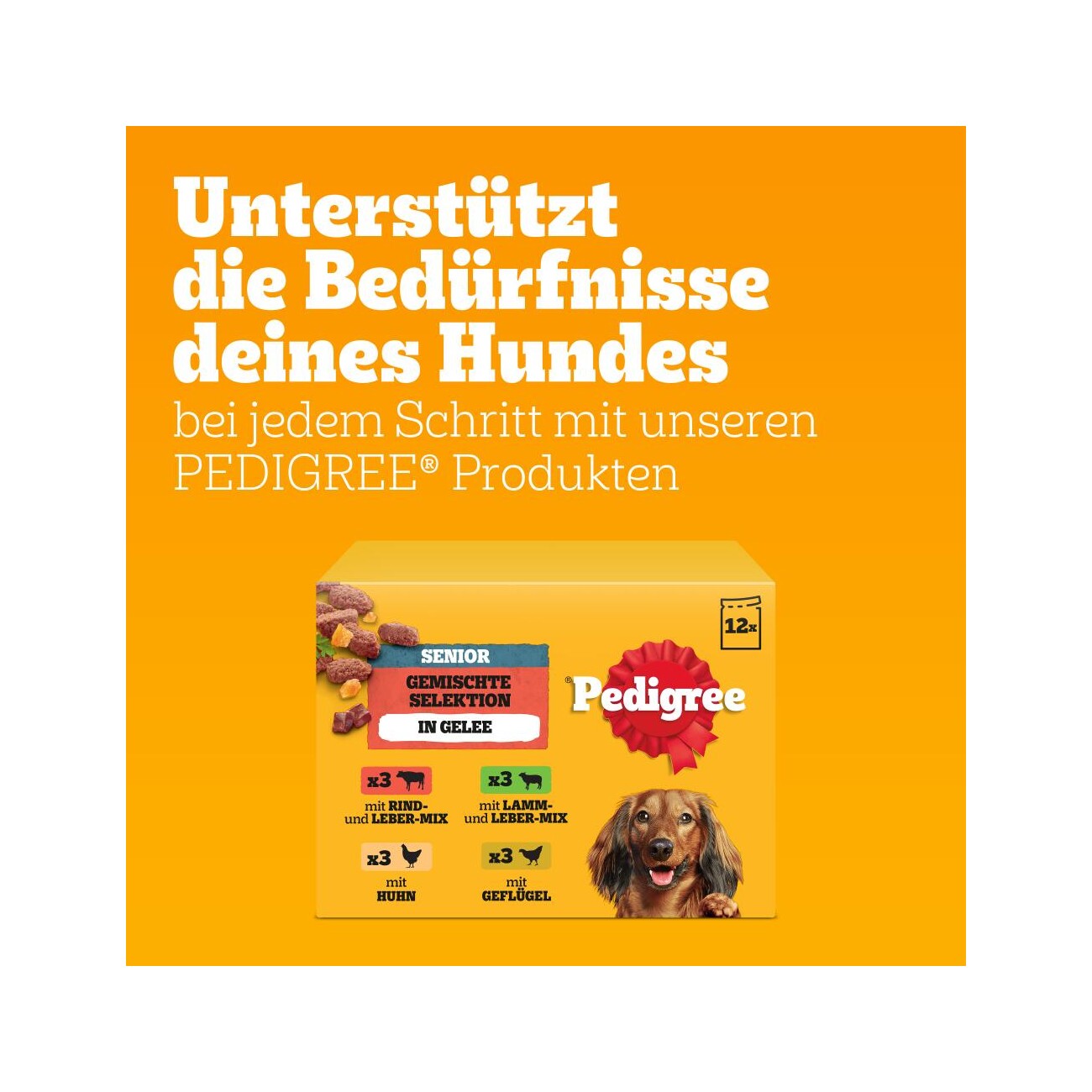Pedigree Nassfutter Hund Senior, Multipack, Gemischte-Selektion, in Gelee 12x100 g