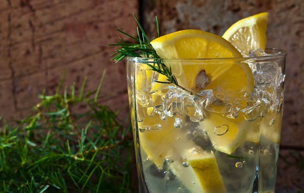 Gin Tasting Hamburg