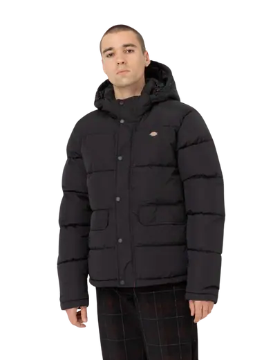Dickies Glacier View Puffer Jakke | SkatePro