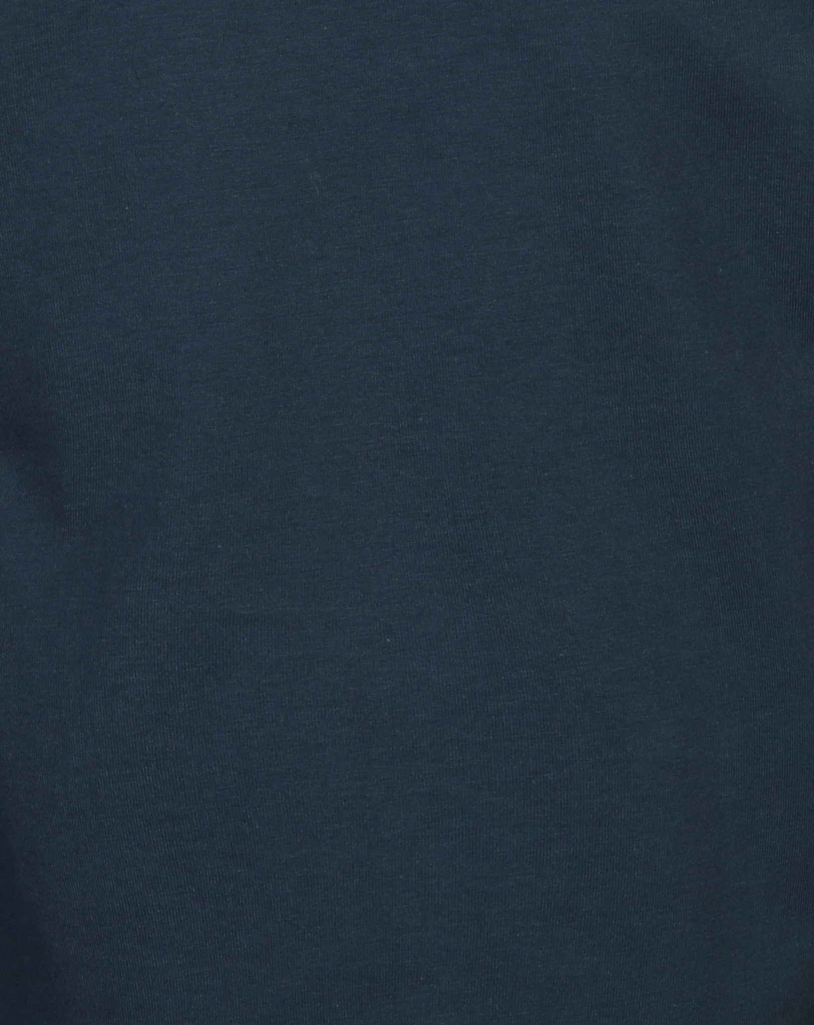 Langarmshirt VAN CLAN in blau