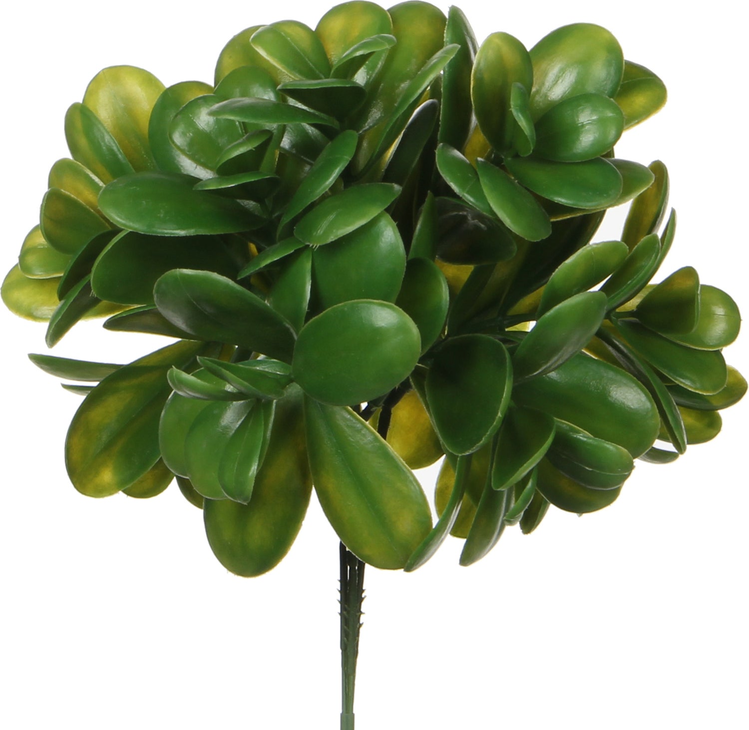Mica Decorations kunstplant Crassula 20 cm