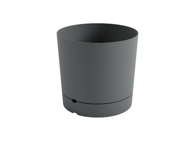 Bloempot