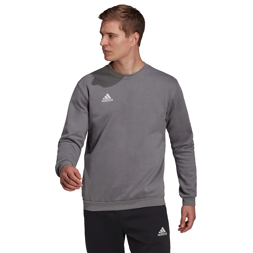 Moletom adidas Entrada 22 Stadium SW