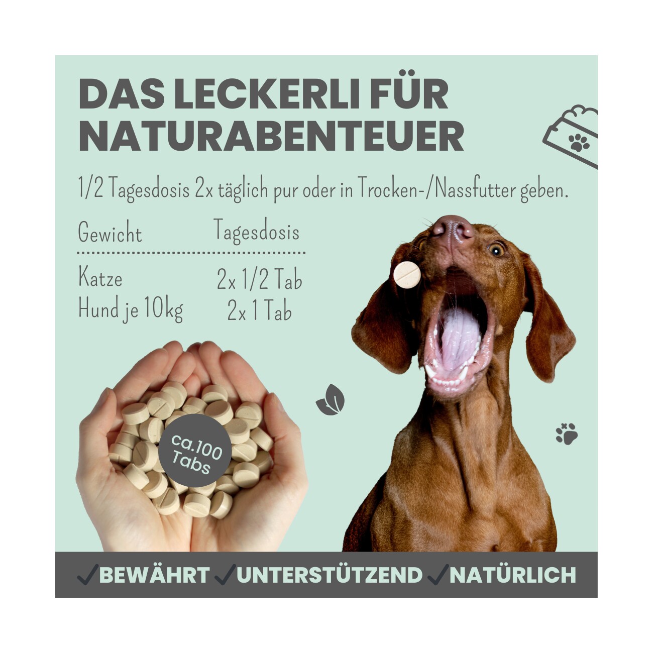 noms+ Zistrosen Tabs für Hunde & Katzen 150g
