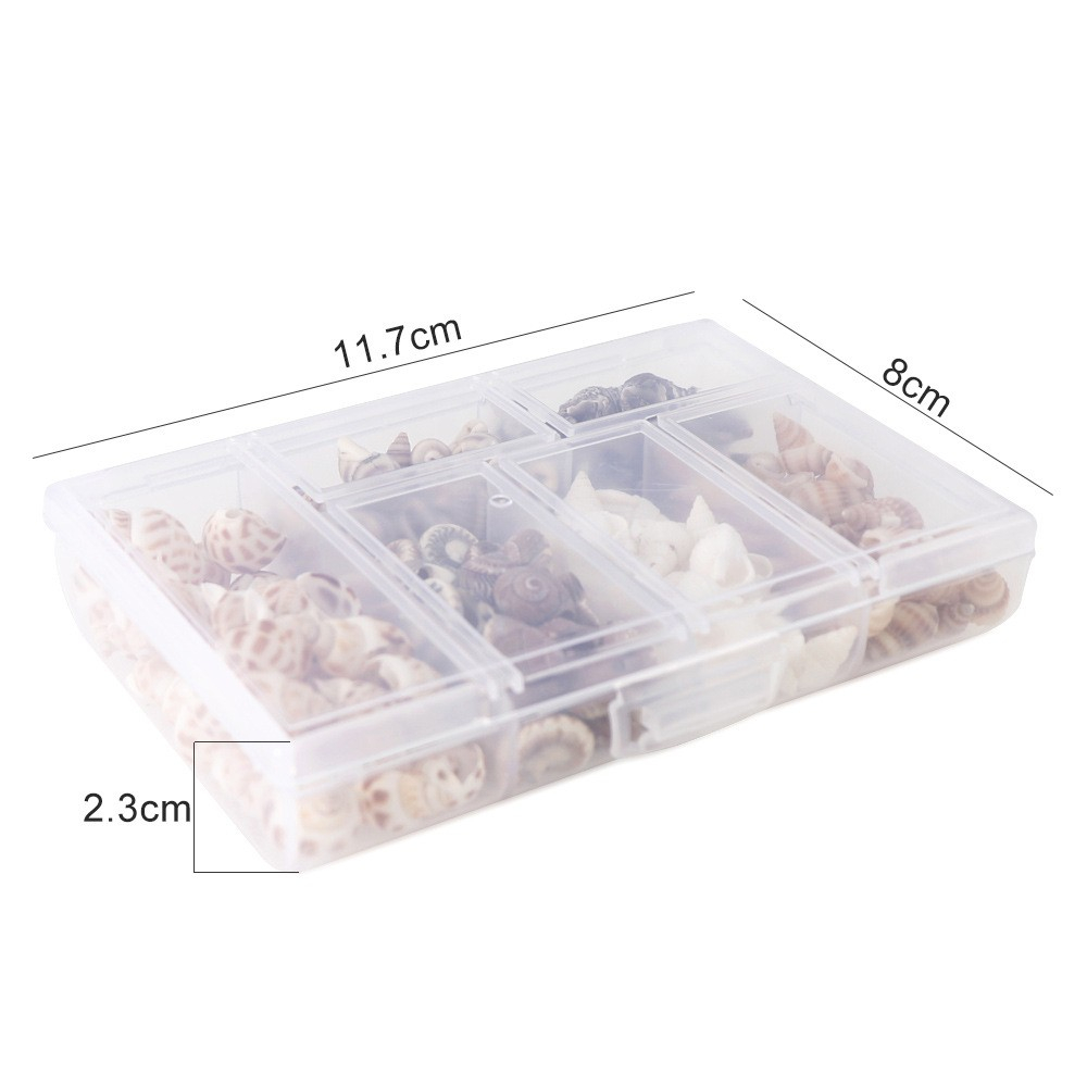 (100g) 1-3cm Deko Muschel Mini Bastel Naturschalen