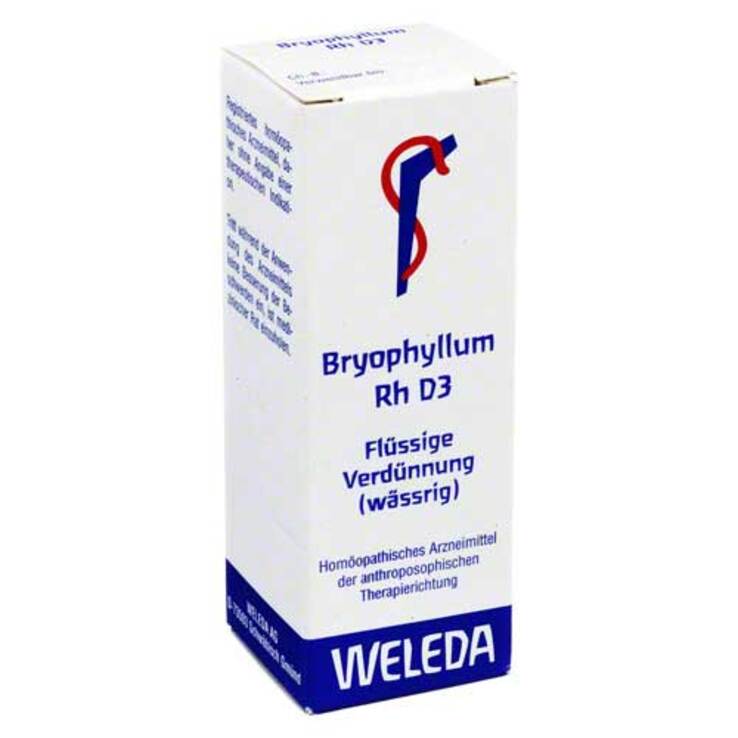 Bryophyllum RH D 3 Dilution, 20 ml