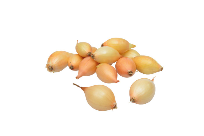 Stikløg - gule løg Sturon 250 g