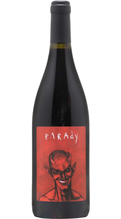Domaine Bernard Gripa Saint Joseph Parady 2019 Rouge