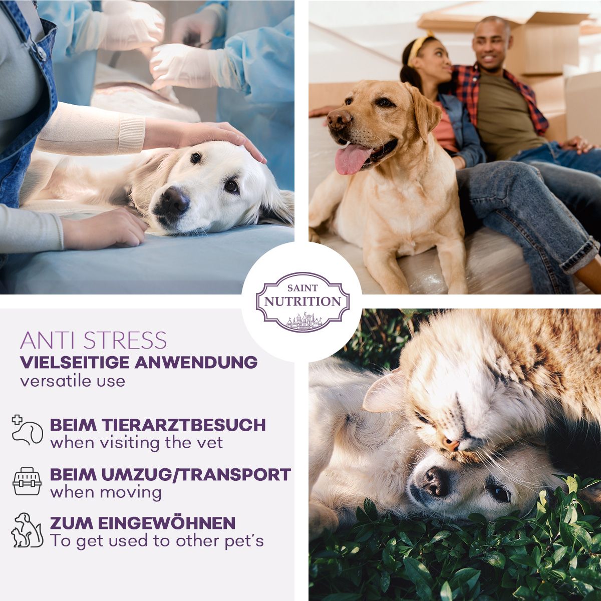 Saint Nutrition® | Anti Stress Leckerlis | für Hunde