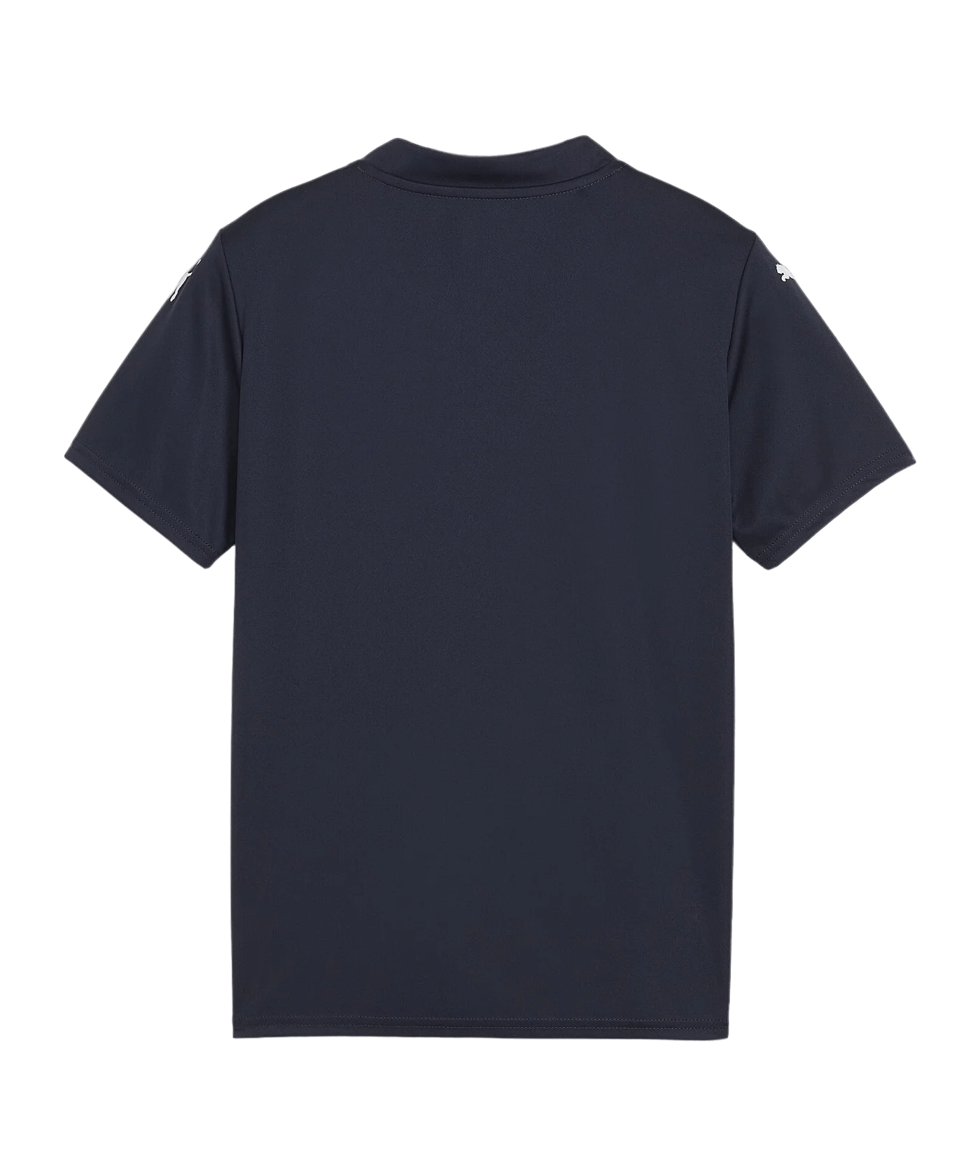 PUMA teamGLORY Trikot Kids Blau Weiss Blau F06