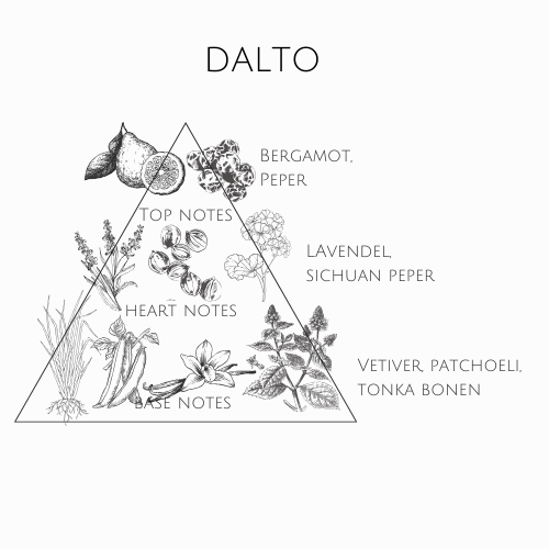 Dalto - Morgan Moon Solid Perfume