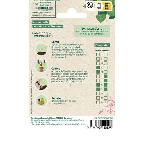 Graines de Rhubarbe Victoria Bio