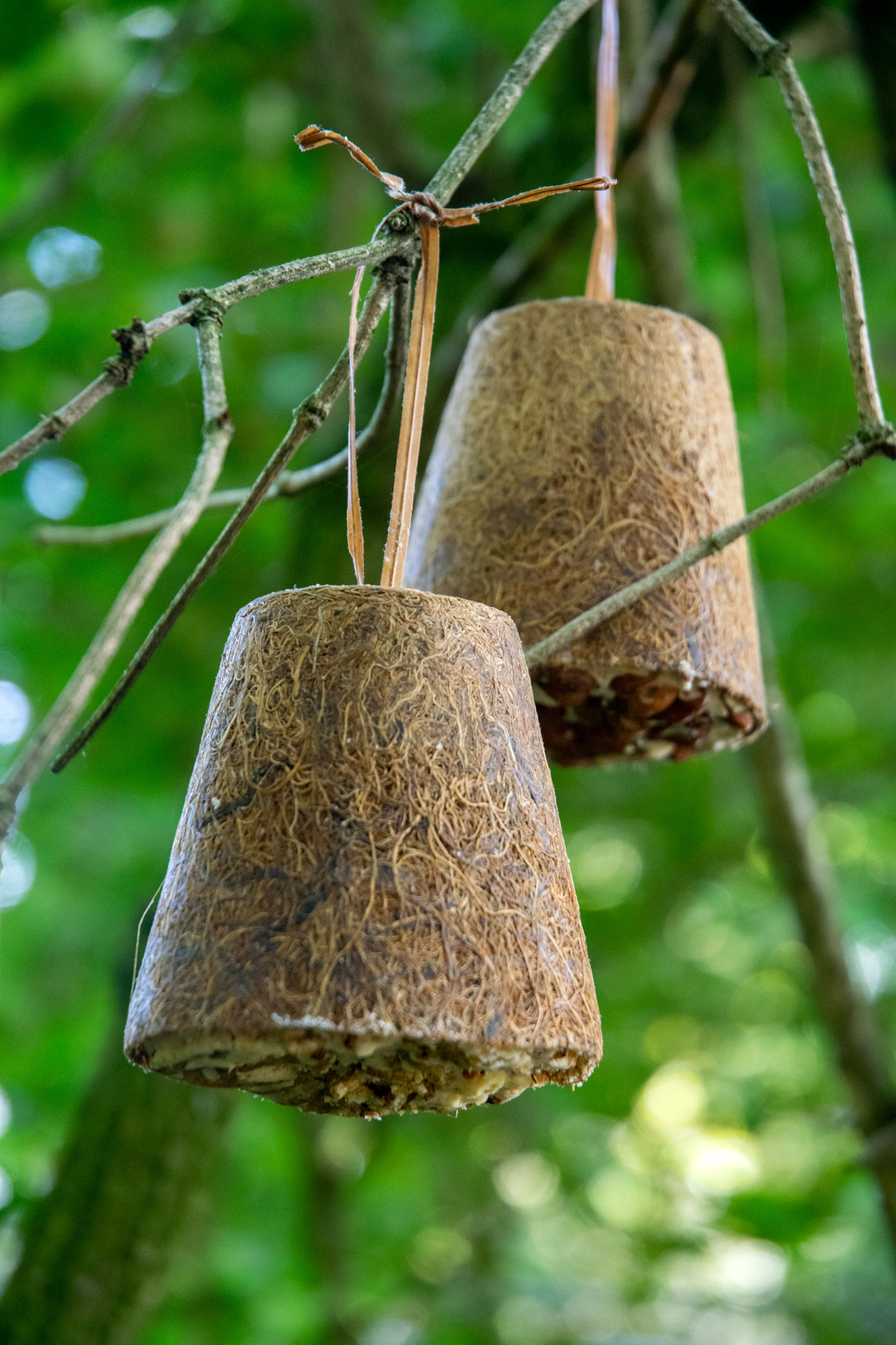 dobar Vogelfuttermix - versch. Varianten