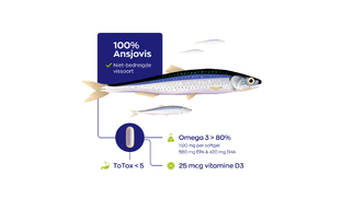 Vitakruid Visolie 1400 TG met D3 Capsules 60SG