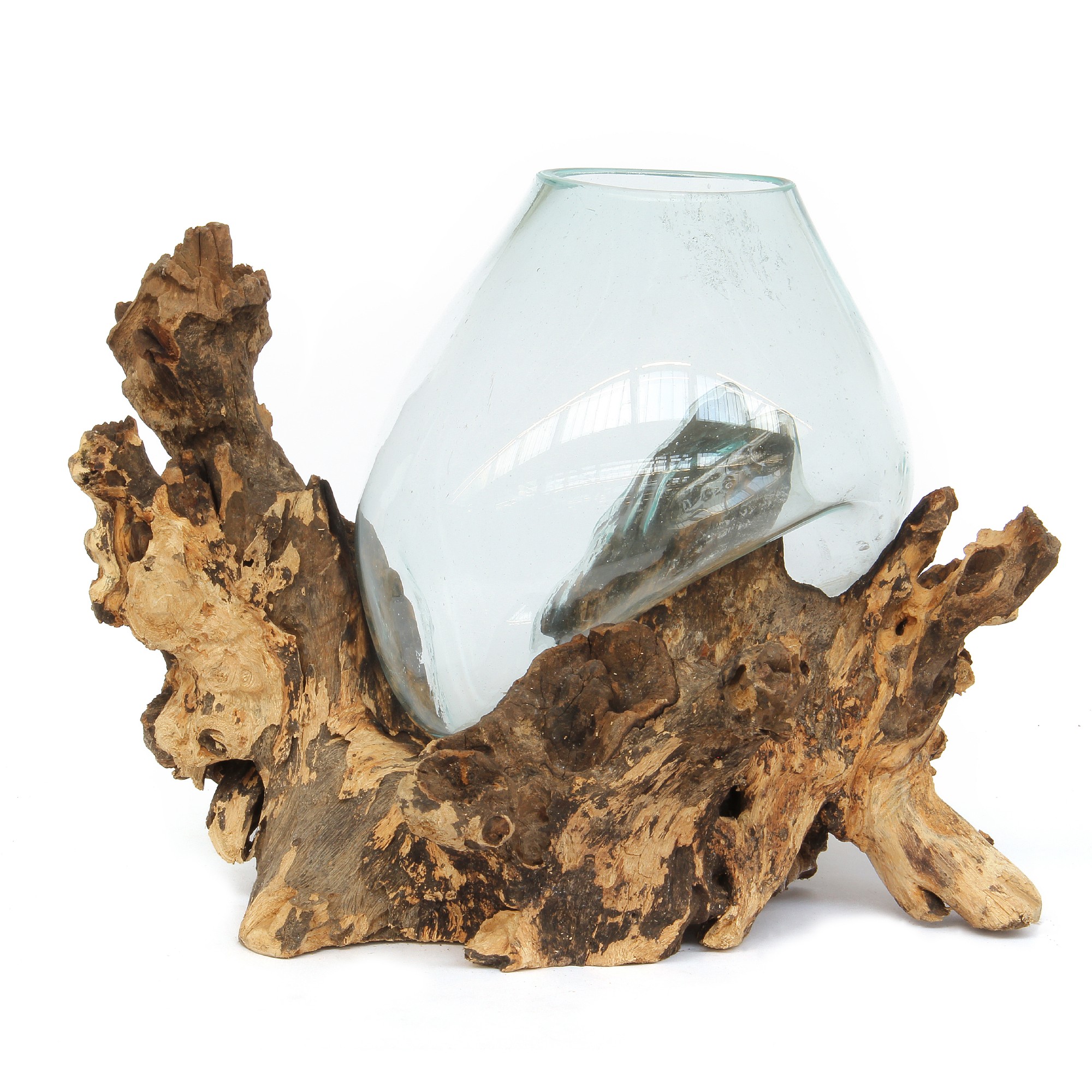 Wurzelholz-Glasvase, H 45 - 55 cm, Ø 35 - 45 cm von fischer's lagerhaus