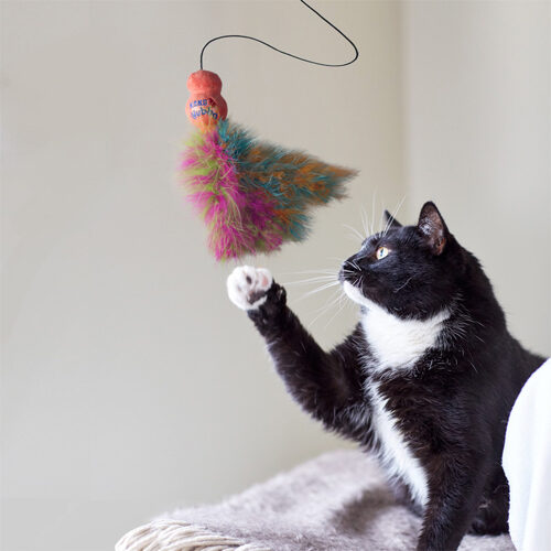 KONG Cat Wubba Boa Kattenhengel