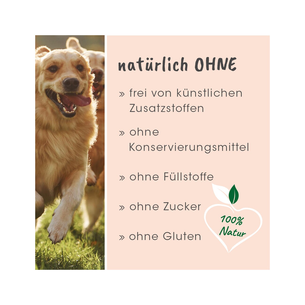 cdVet Singulares Bio-Nachtkerzenöl 50 ml