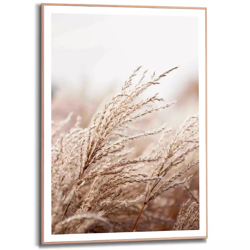 Wandbild 50 x 70 cm Gräser