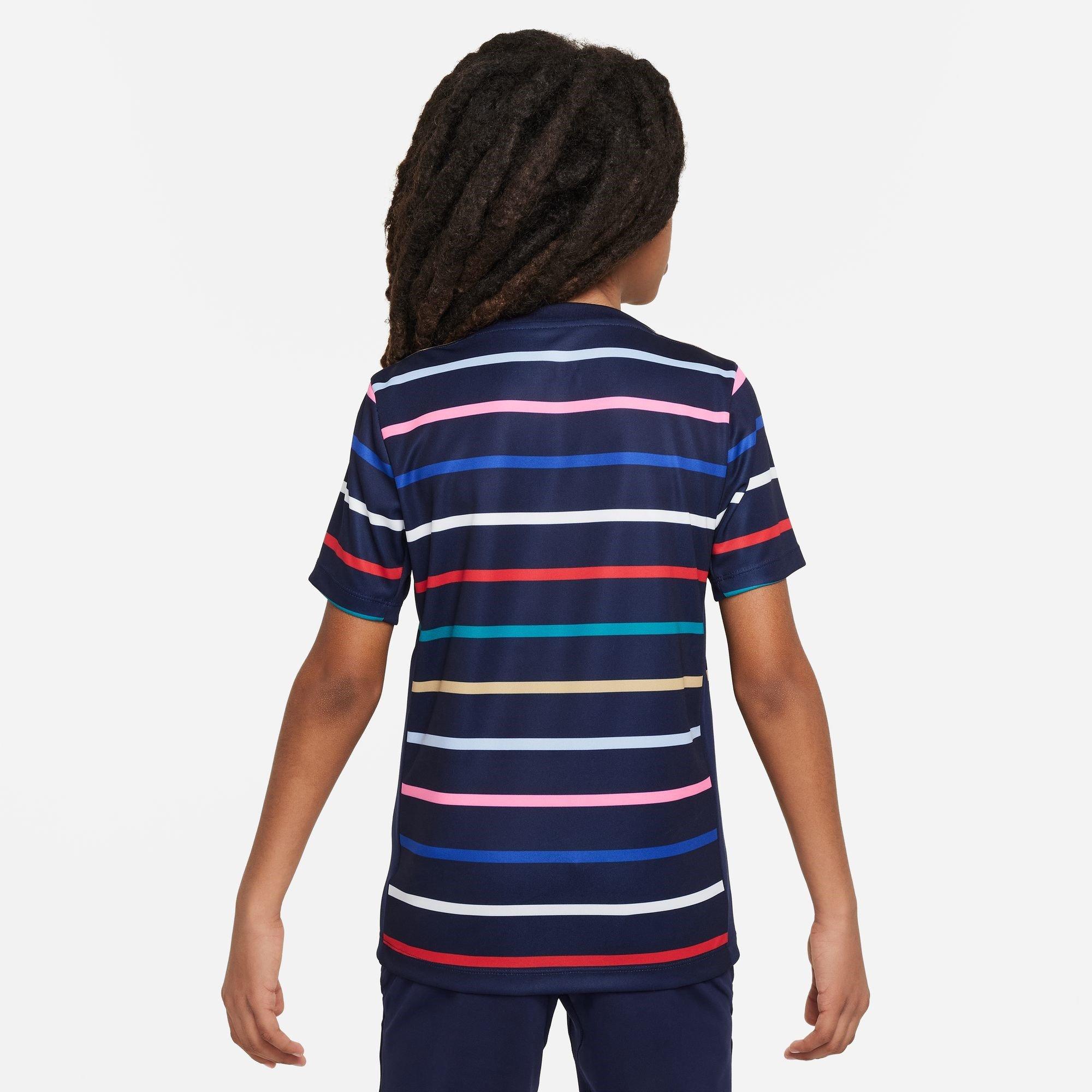 Nike France Academy Pro Home Pre Match Shirt 2024 Juniors