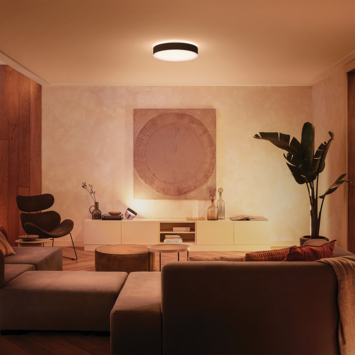 Philips Hue plafondlamp Enrave zwart - warm tot koelwit licht 48W - Ø 55 cm - met 1 dimmer switch