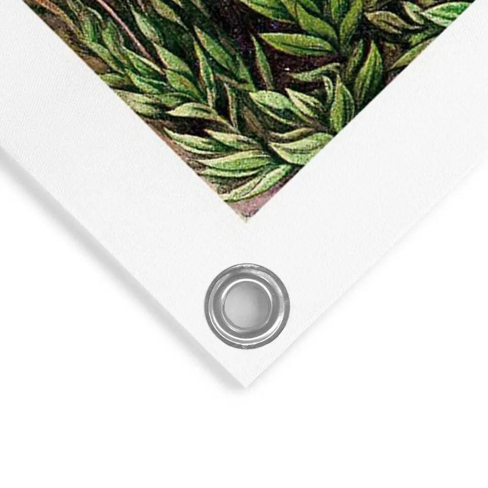Tuinposter Sea Flora - 80x60cm - Groen