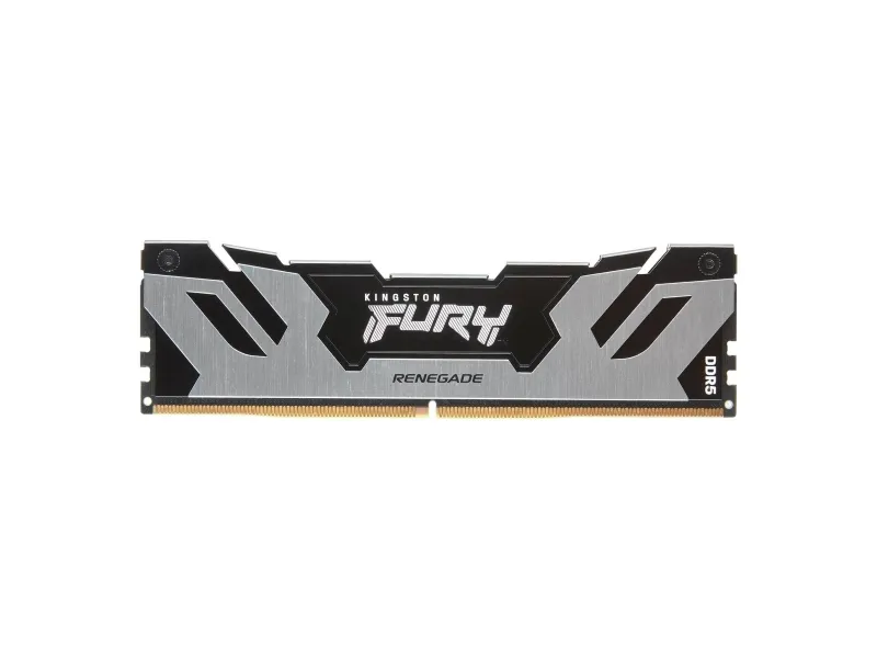 Kingston FURY Renegade - DDR5 - modul - 48 GB - DIMM 288-PIN - 6000 MT/s / PC5-48000 - CL32 - 1.35 V - ikke bufferet - on-die ECC - sølv/sort