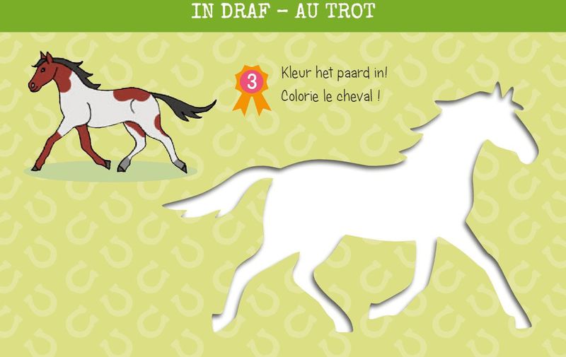 Zo Teken Je Paarden - 12 Sjabloonkaarten