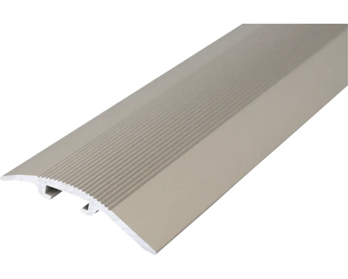 SKANDOR Verstelprofiel Aluminium RVS Look Mat Afwerking 4,8x37x900 mm
