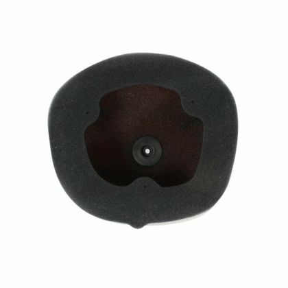 Filtre à air Twin air kit Powerflow 793815 - 152222FR 793815