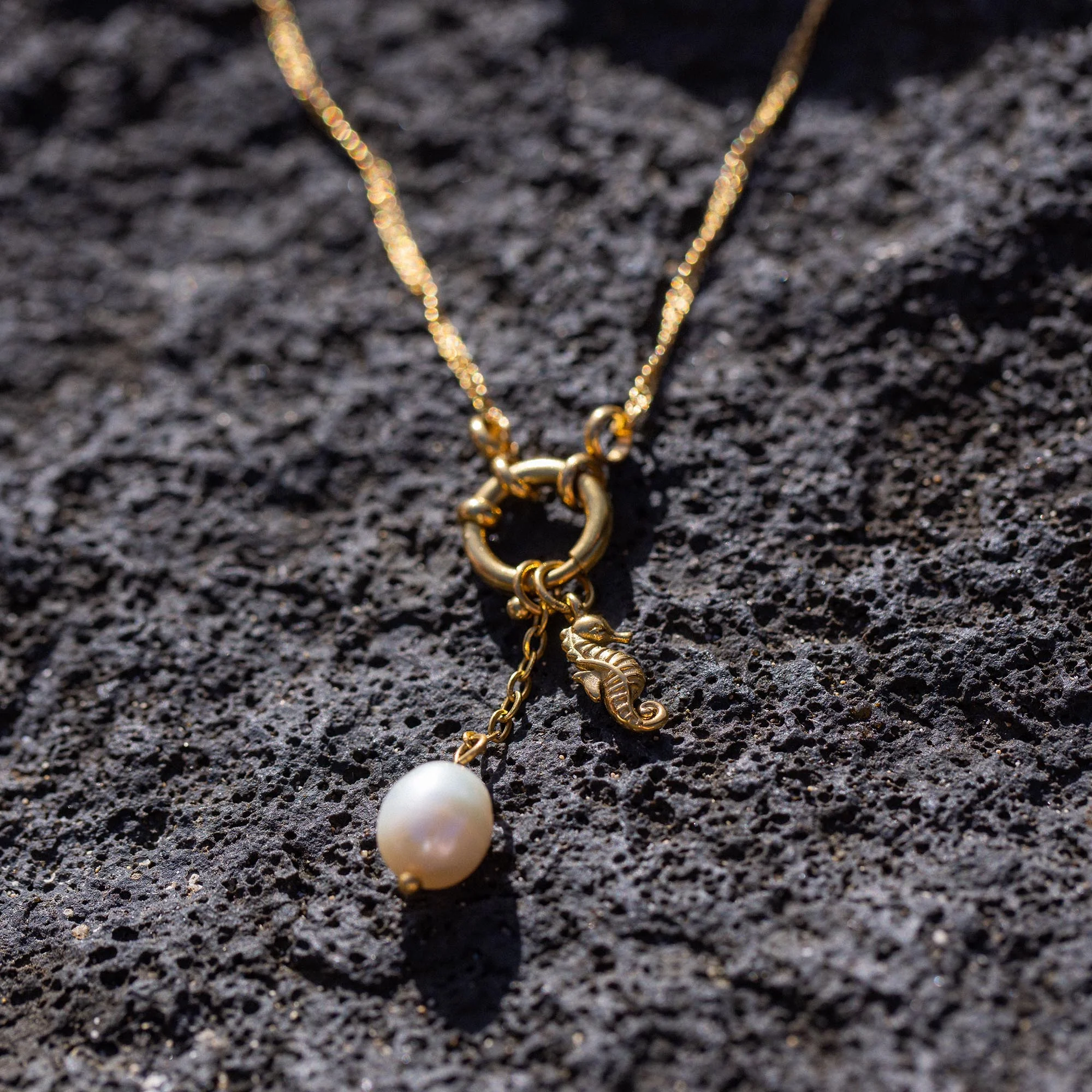 Seahorse Charm