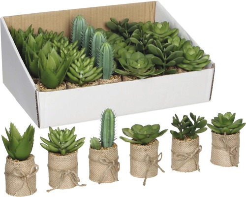 Kunstplant Mica vetplant in pot Ø 5 cm H 12 cm