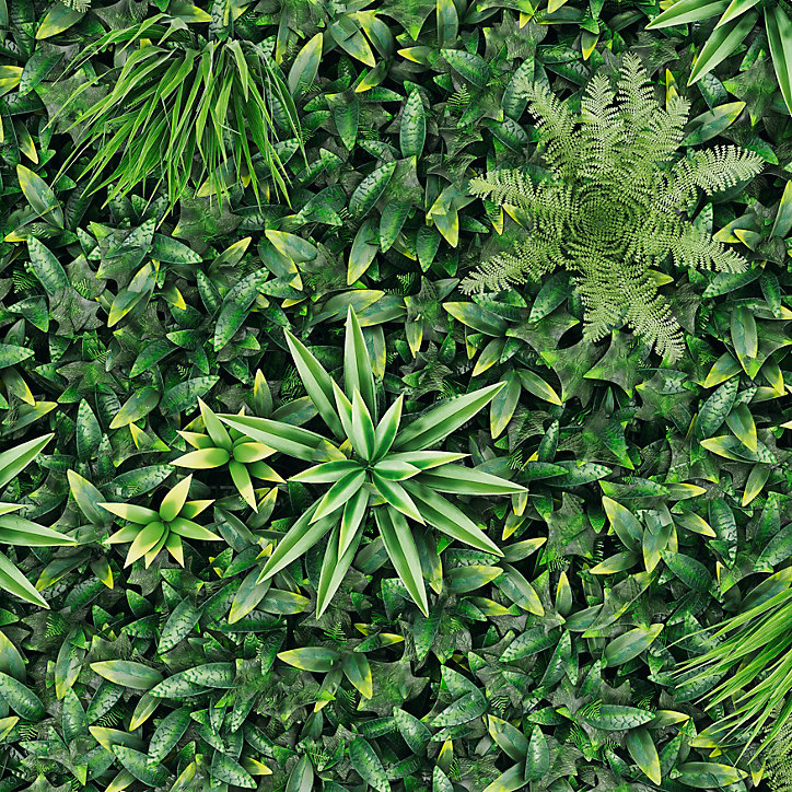 Mur végétal artificiel jungle 100x100