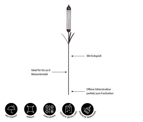 Dehner Natura Premium Futterpalme für