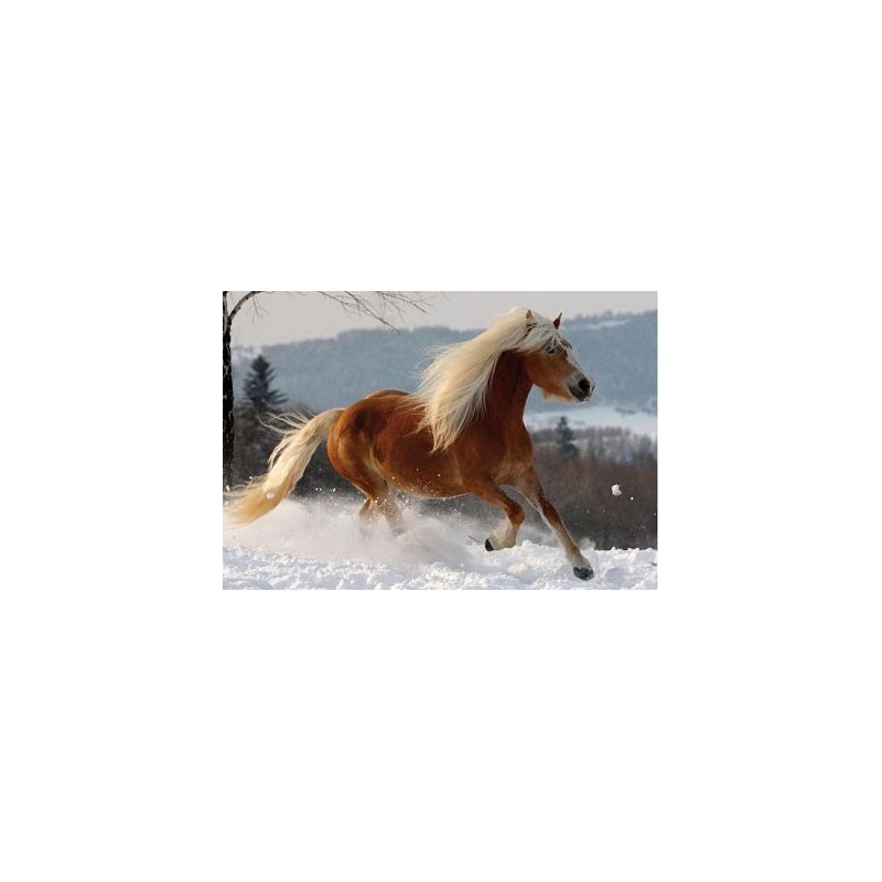 Puzzle 239 Horses