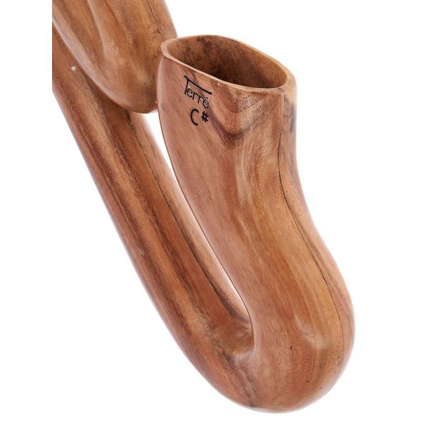Thomann Saxophone Didge Proline C#