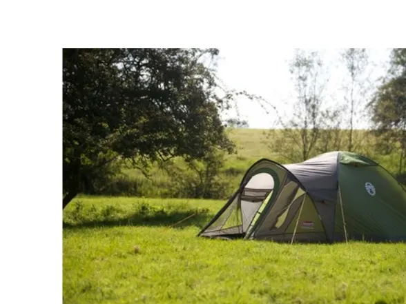 Coleman Darwin 3 , Backpacking, Hård ramme, Kupel/Igloo telt, 3 person(er), 4,9 kg, Grå, Kaki