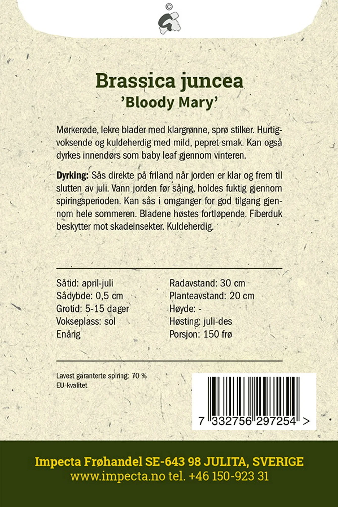 Brassica juncea 'Bloody Mary' Sennepskål 'Bloody Mary'