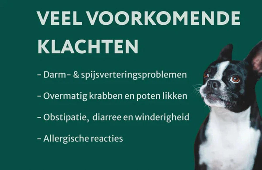 Dogsuppy Probiotica Forte kip - Spijsvertering en darmflora - 60 Stuks - kip