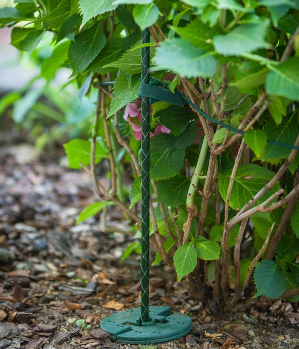 Dehner Fiberglas-Pflanzenstab