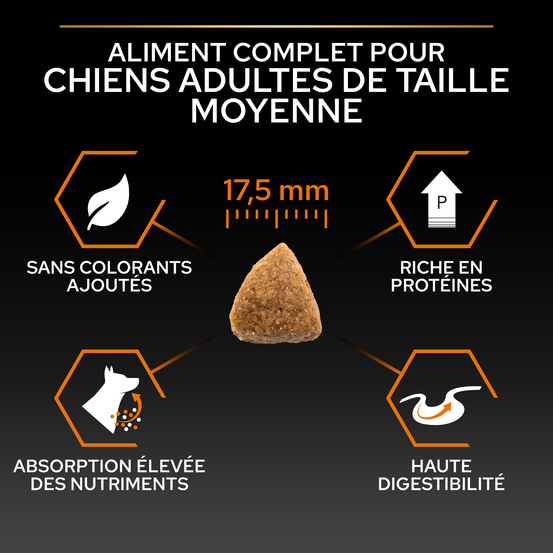Croquettes chien adulte de taille moyenne Super Premium - 14 kg