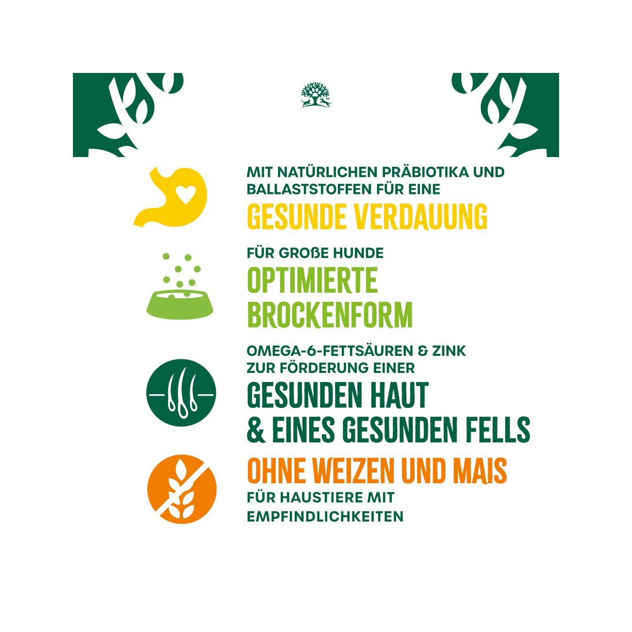 James Wellbeloved Lamm & Reis für große Hunde 10 Kg