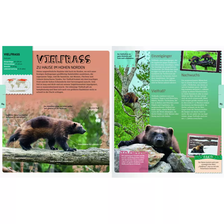 Ravensburger Tiere unserer Welt