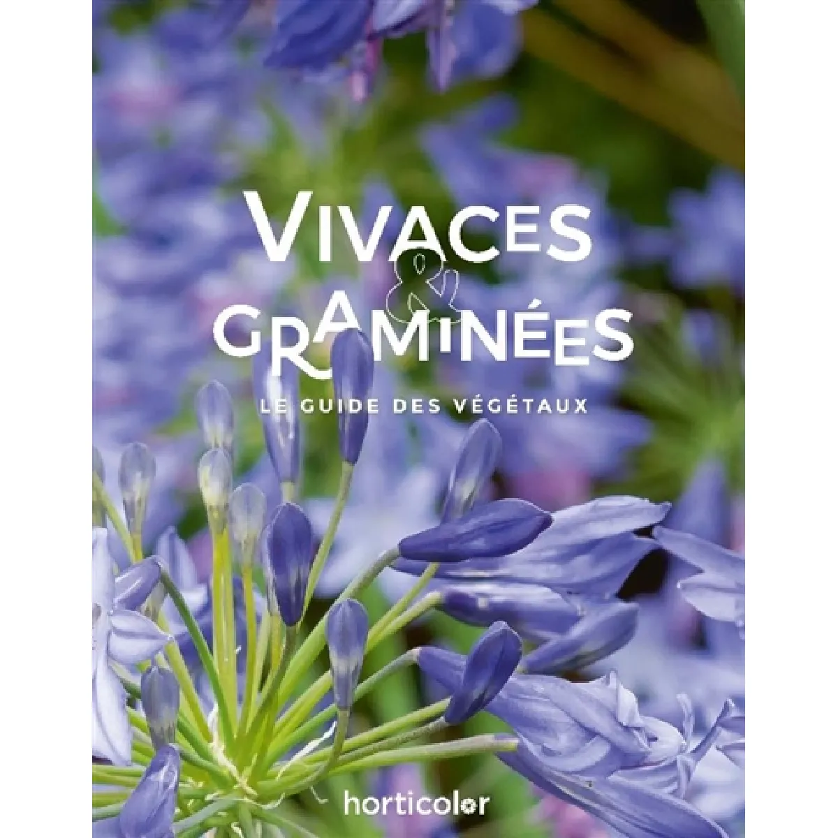 Vivaces & graminées : le guide des végétaux