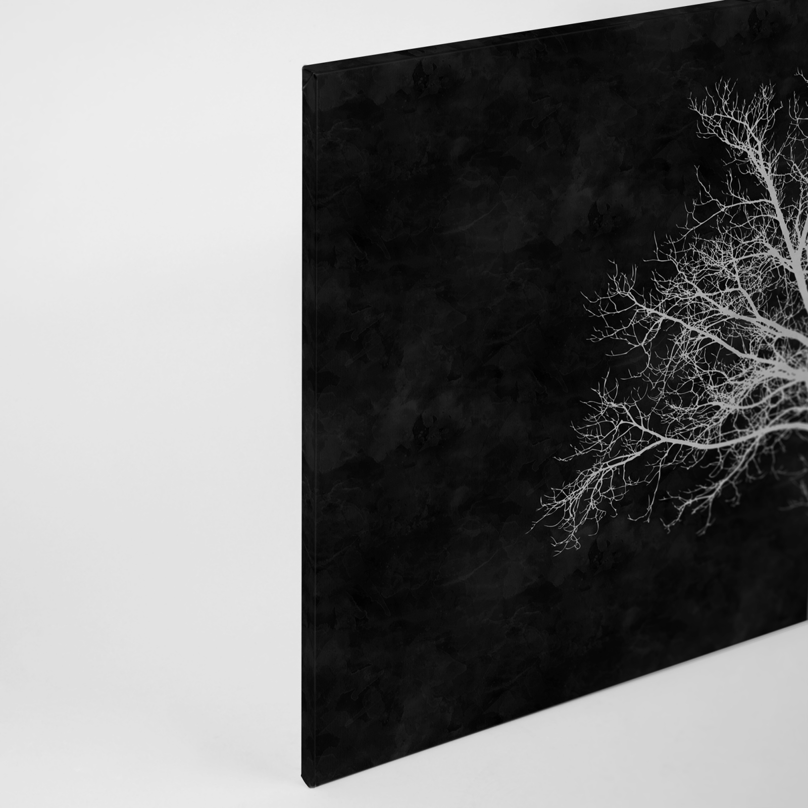 Leinwandbild BAUM - schwarz-weiß - 90x60 cm