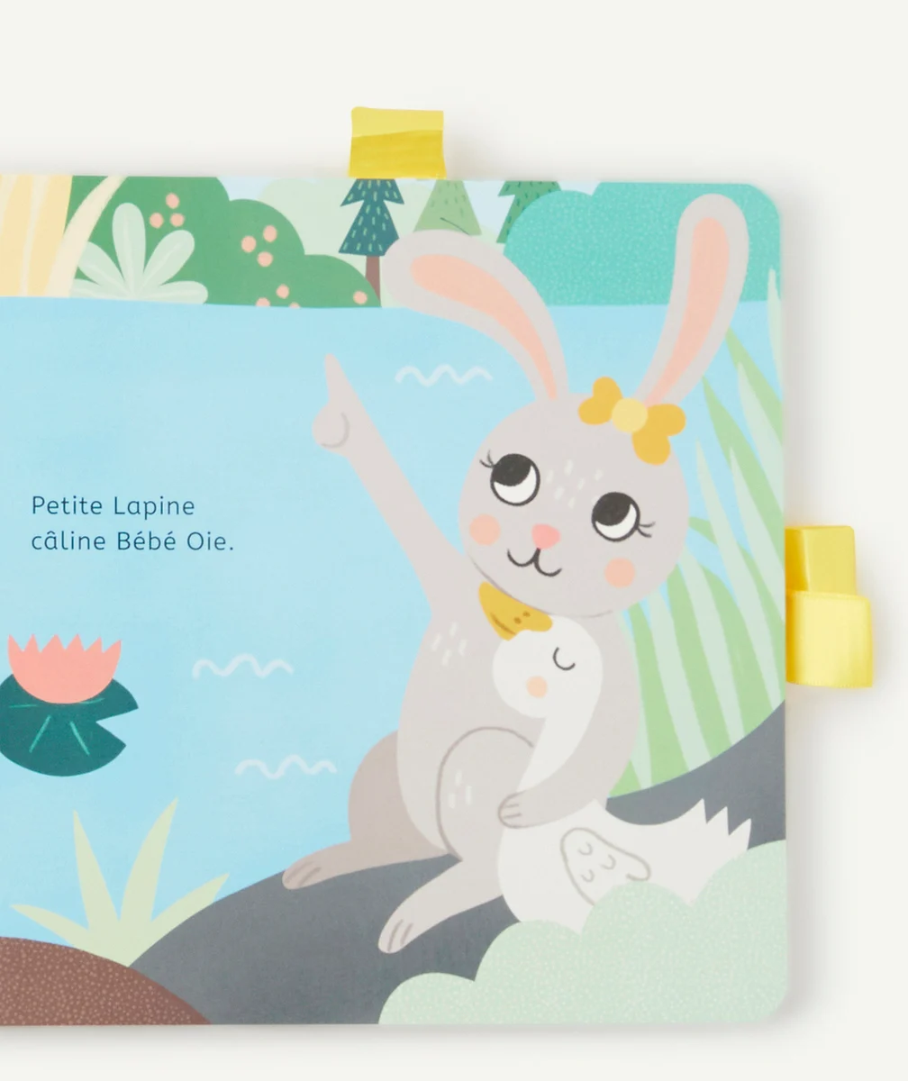 AUZOUCÂLINE, PETITE LAPINE