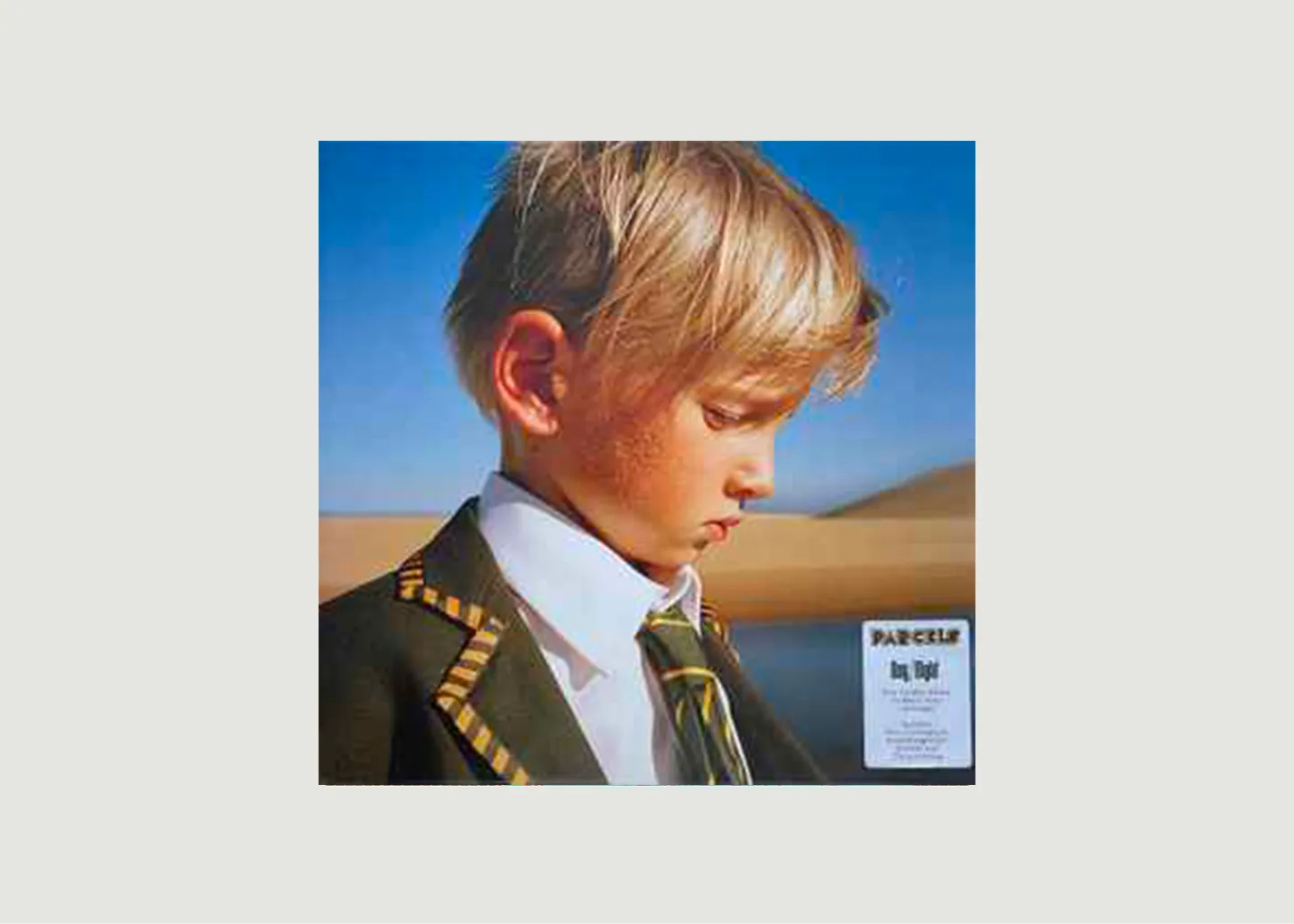 Vinyle Day/Night Parcels La vinyl-thèque idéale