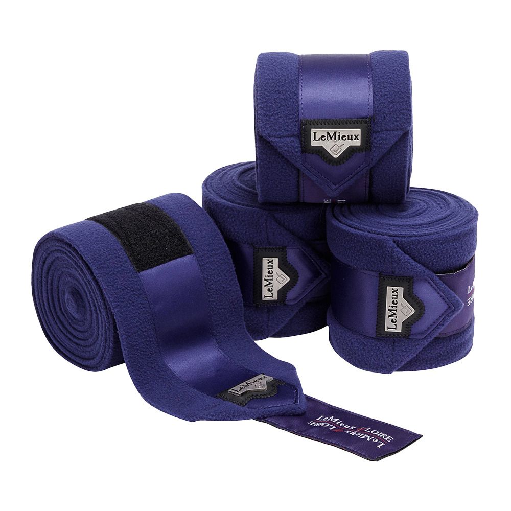 Le Mieux LOIRE - Bandes de polo x4 ink blue