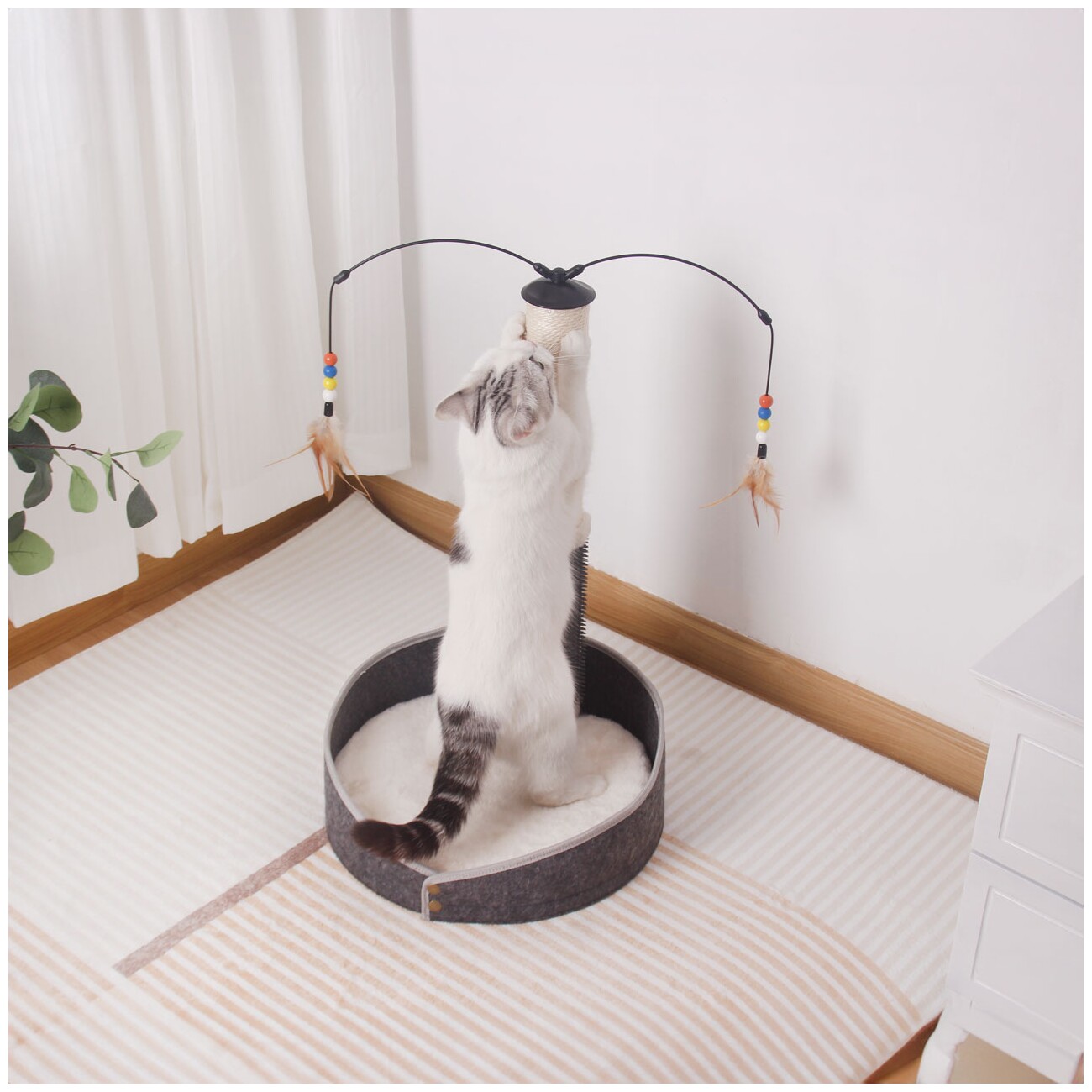 Canadian Cat Company Kratzstamm Bella